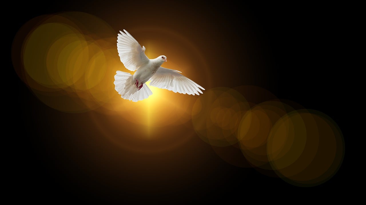 The Dove is a significant symbol in biblical narratives, with roots in Noah and the New Testament Holy Spirit.